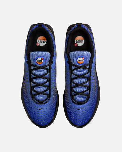 Nike Air Max DN - Bleu/Noir