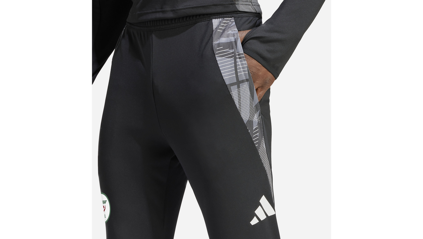 Algeria 2024 Training Pants - Black